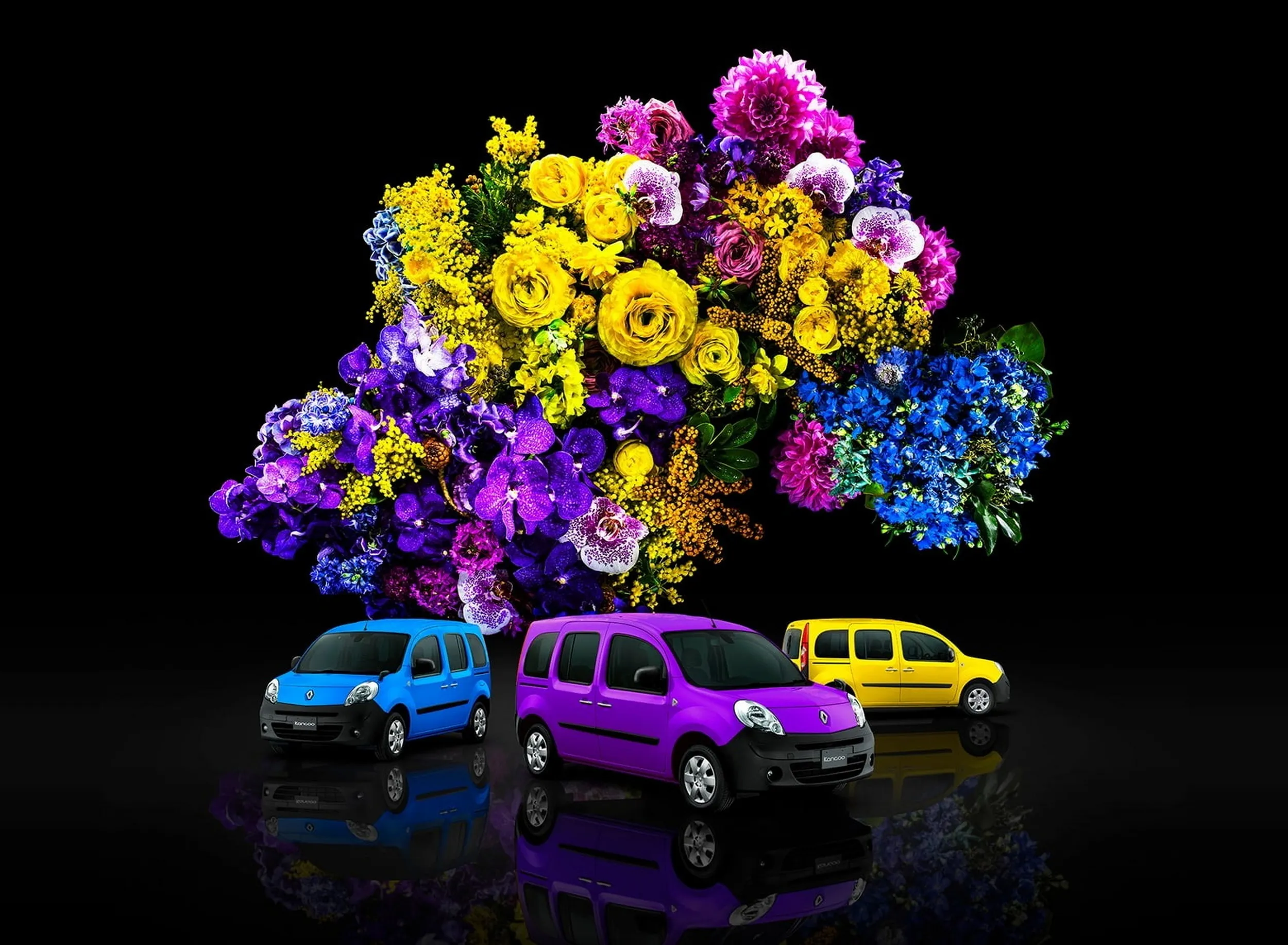 Renault Kangoo Couleur